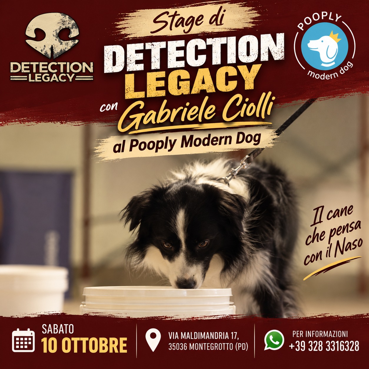 Seminario Detection Legacy a Montegrotto
